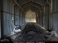 D21 0775  Litsnäset 16.06.2016 : 2016 Inlandsbanan IB16