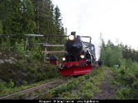 D21 2671  Knoppen : 2016 Inlandsbanan IB16, Bildbeställning, Webbalbum