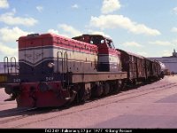 01168  T43 249 i Falkenberg 27 juni 1977 : Bildbeställning, Falkenberg, Platser, SJ diesellok, Sv lok, Svenska tåg, Sverige, T43, Webbalbum