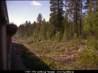 29963 : Djur, Naturbilder, SvK 14 Gällivare--Storuman, Svenska järnvägslinjer