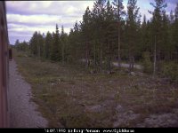 29763 : Djur, Naturbilder, SvK 14 Gällivare--Storuman, Svenska järnvägslinjer