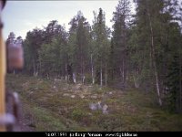 35427 : 1991 Inlandsbaneresan med SMoK, Resor, SvK 14 Gällivare--Storuman, Svenska järnvägslinjer