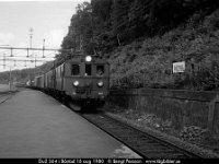sv1198-13  Du2 364 i Båstad 16 aug 1980 : Sv lok, SvK 126 Göteborg--Malmö, Svenska järnvägslinjer, Svenska tåg
