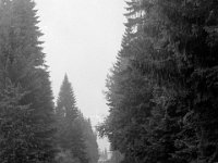 033-sv1560-13  km 18,6 : KBS868 Zwiesel--Grafenau, Tyska järnvägar