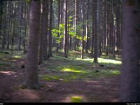 028-25501 : KBS869, Tyska järnvägar