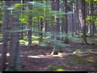 029-25502 : KBS869, Tyska järnvägar